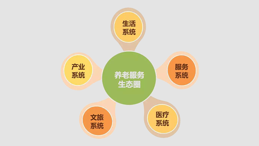 打造養老數字化平臺 賦能養老行業(yè)規?；l(fā)展(圖10)